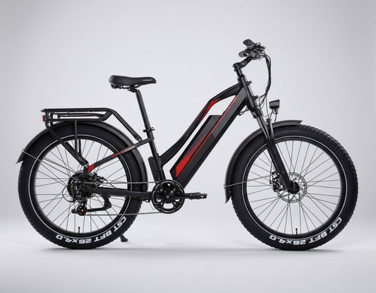 FatBoy - Probefahrt zu Hause (nur Hamburg)