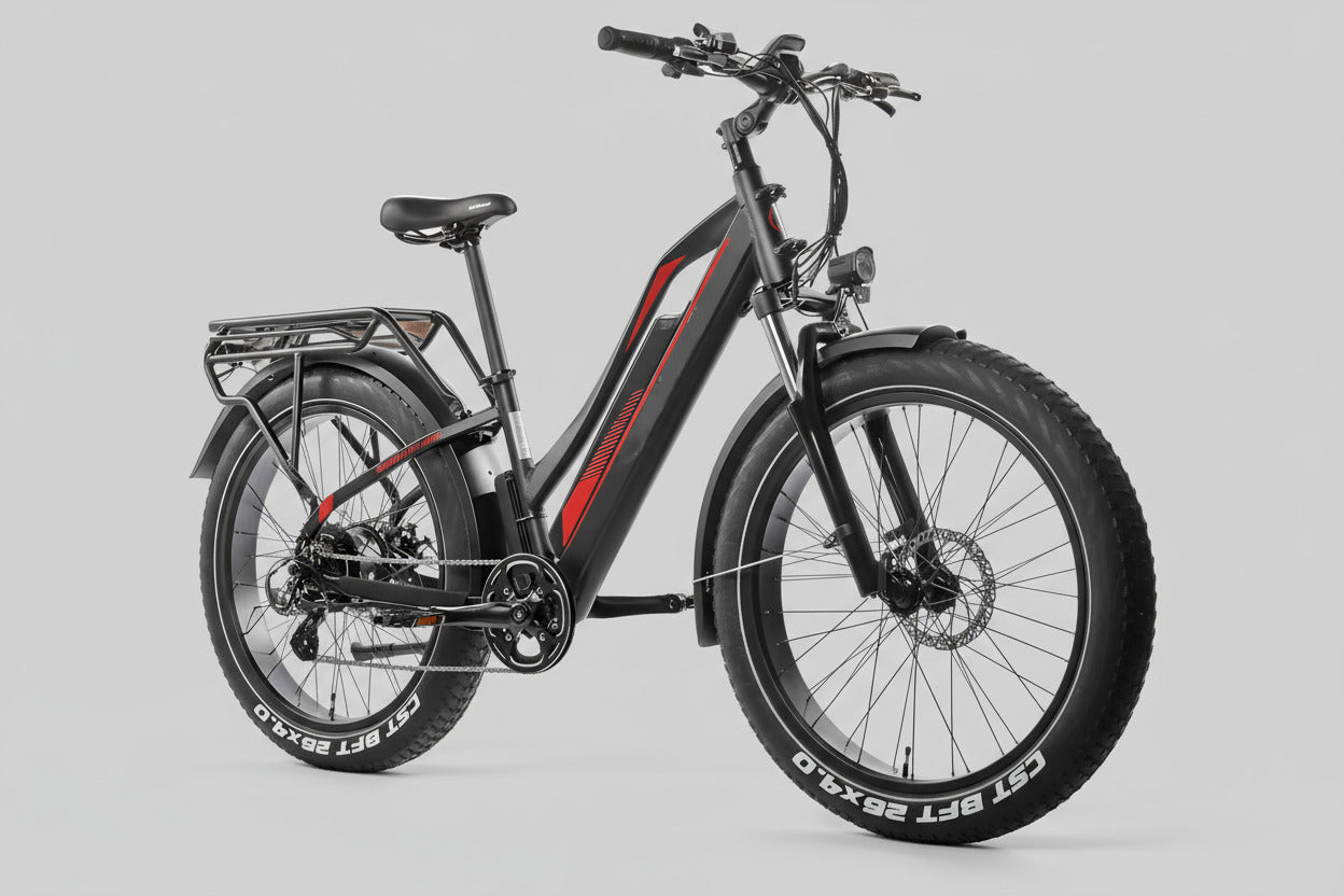 FatBoy - Test Drive @ Home(Hamburg only)