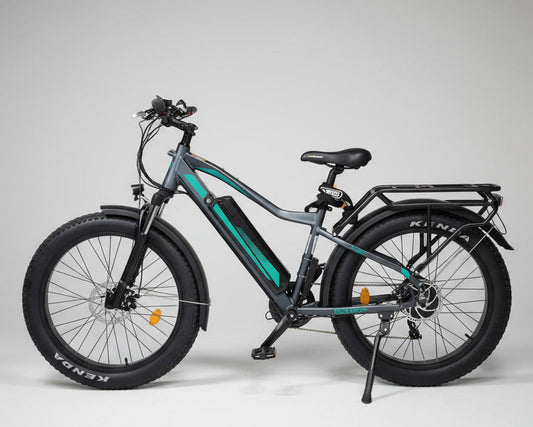 FatBoy - Probefahrt zu Hause (nur Hamburg)